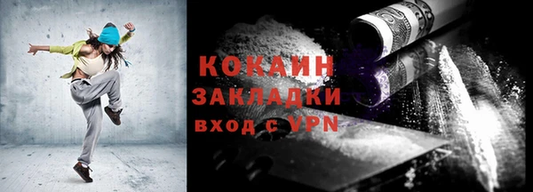стаф Каменногорск