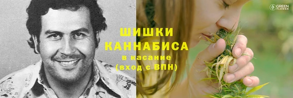 прущая мука Вяземский