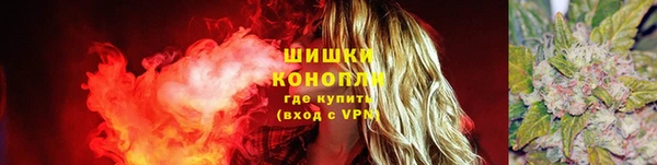 ПСИЛОЦИБИНОВЫЕ ГРИБЫ Володарск