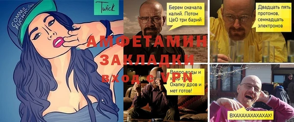 прущая мука Вяземский