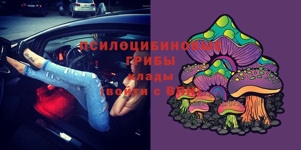прущая мука Вяземский