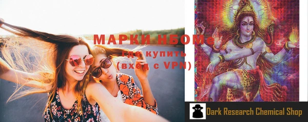 прущая мука Вяземский