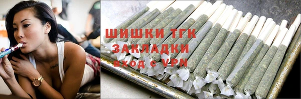 ГАЛЛЮЦИНОГЕННЫЕ ГРИБЫ Каменка