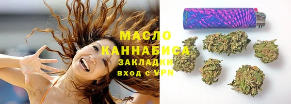 прущая мука Вяземский